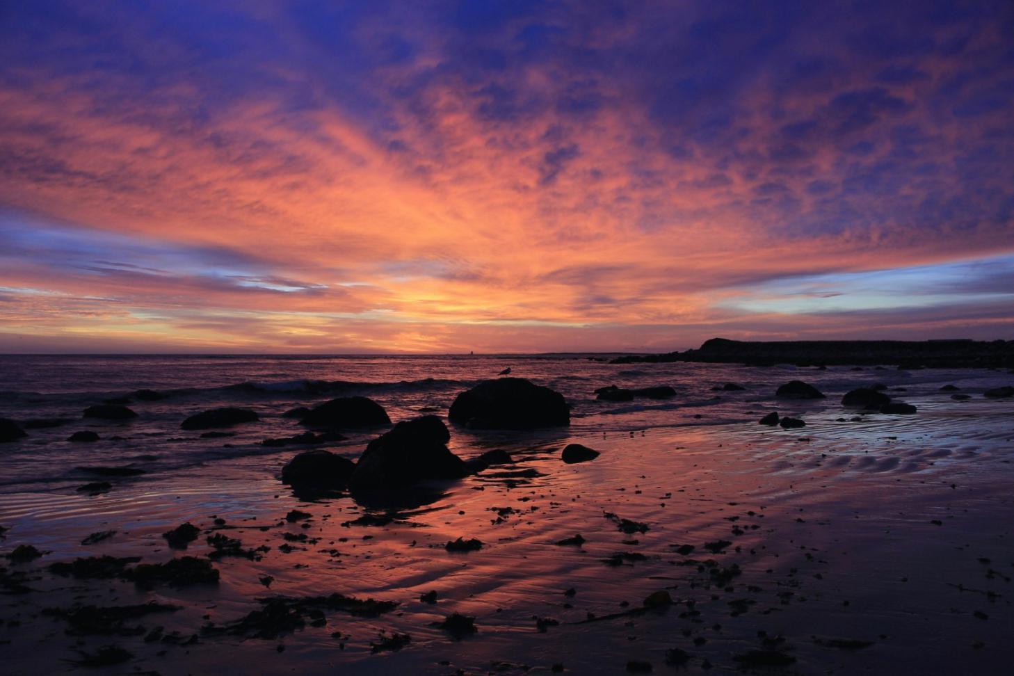 Учасники першого курсу за роботою